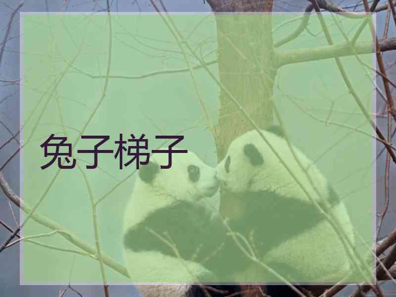 兔子梯子