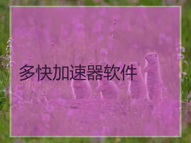 多快加速器软件