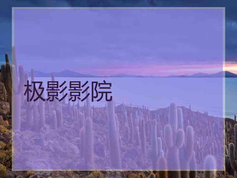 极影影院