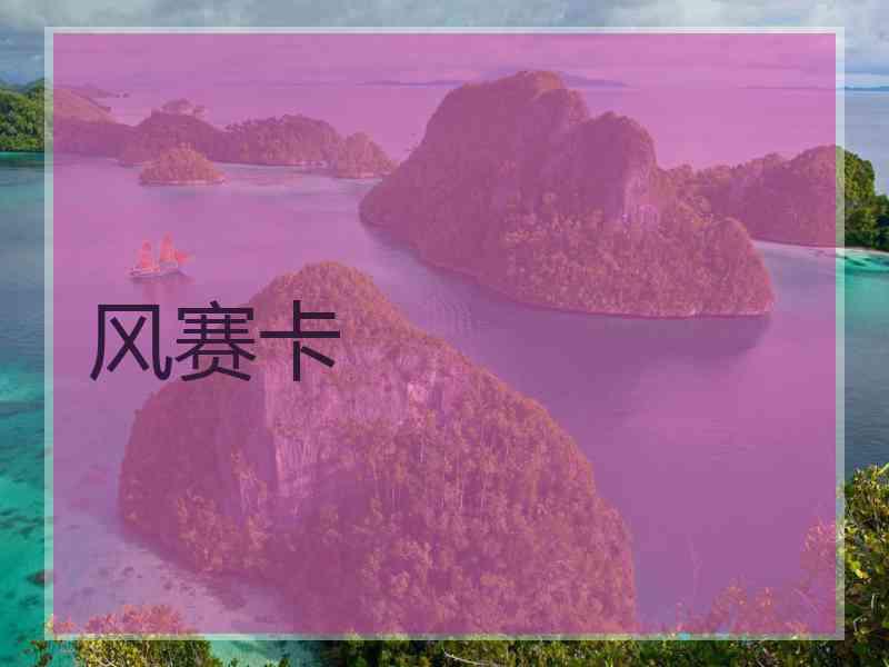 风赛卡