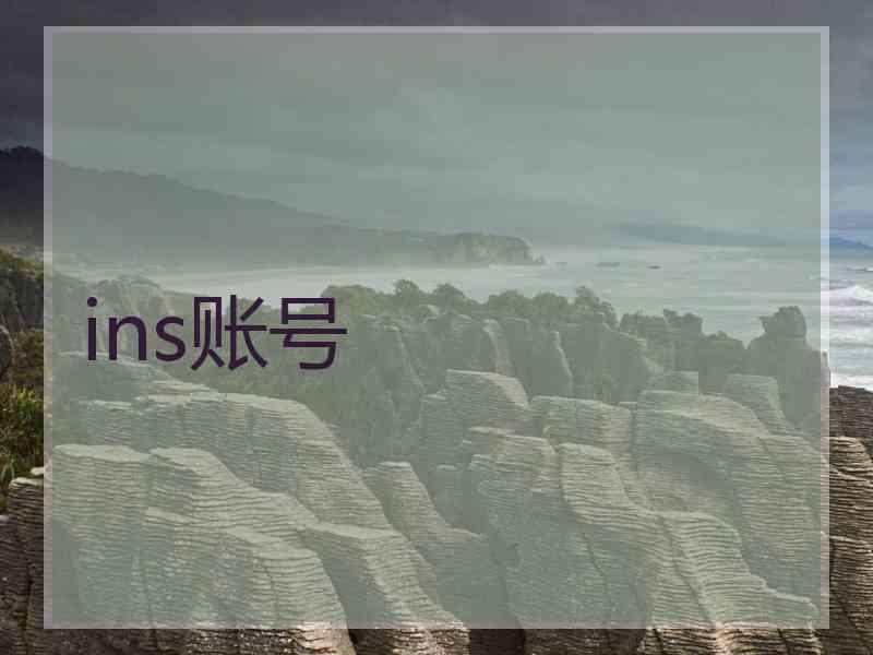 ins账号
