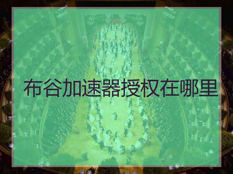 布谷加速器授权在哪里