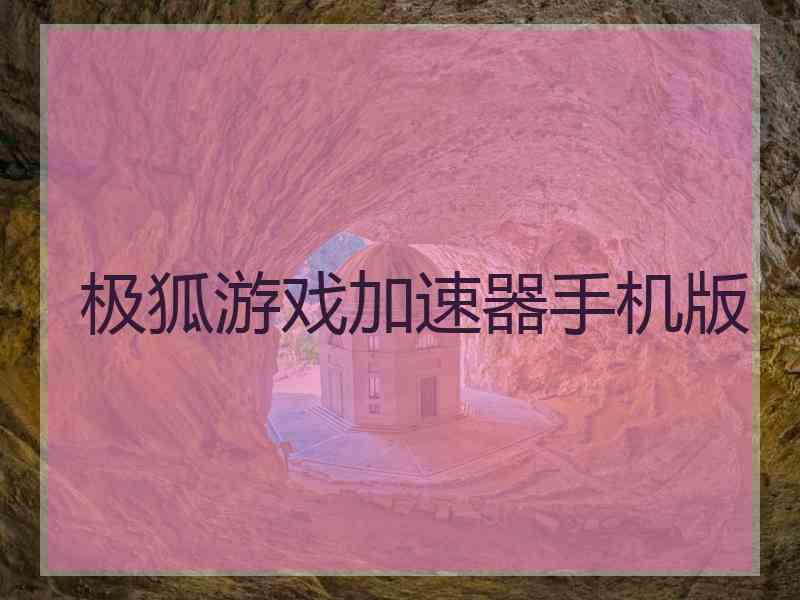 极狐游戏加速器手机版