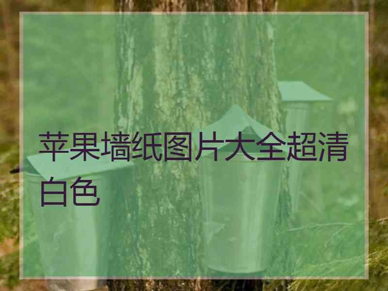 苹果墙纸图片大全超清白色