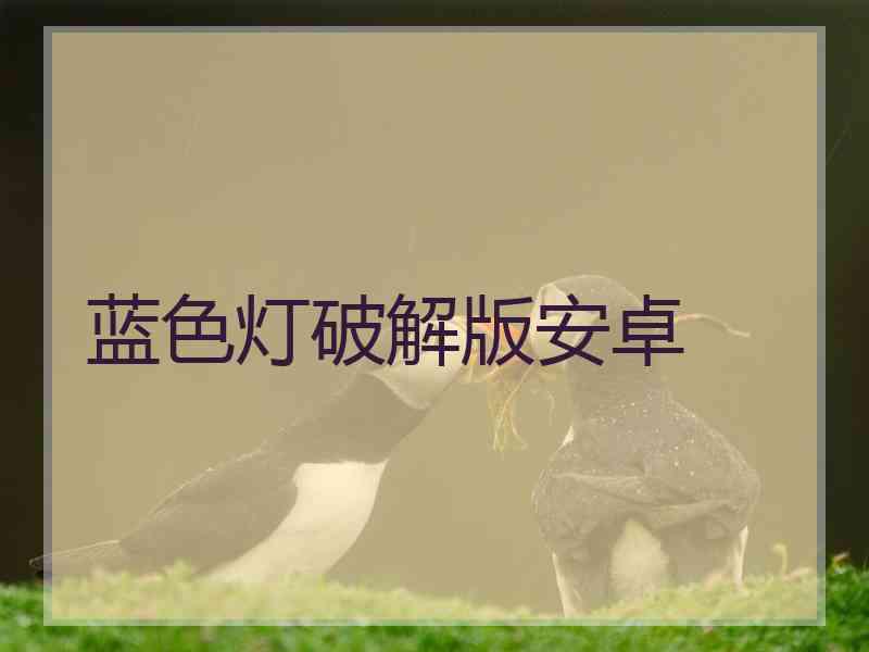 蓝色灯破解版安卓
