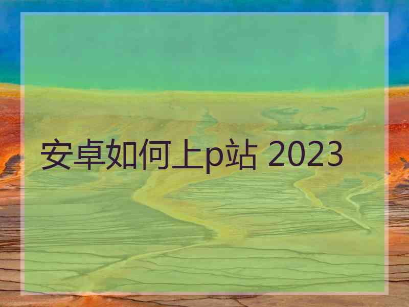 安卓如何上p站 2023