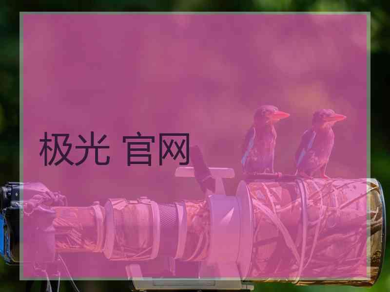 极光 官网