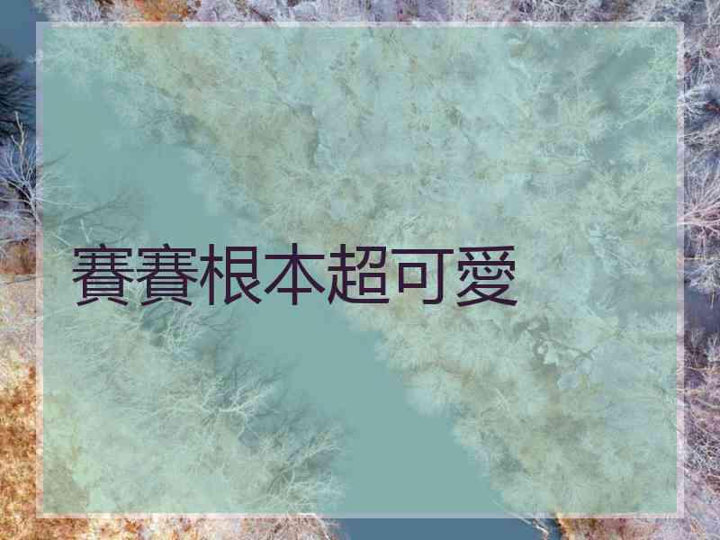 賽賽根本超可愛