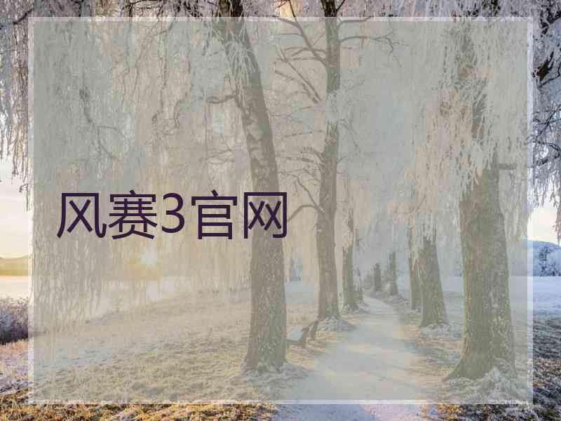 风赛3官网