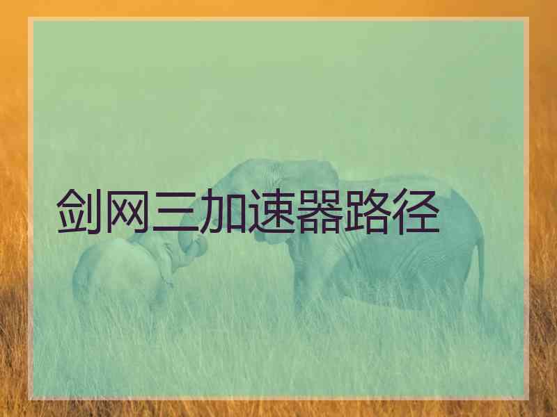剑网三加速器路径