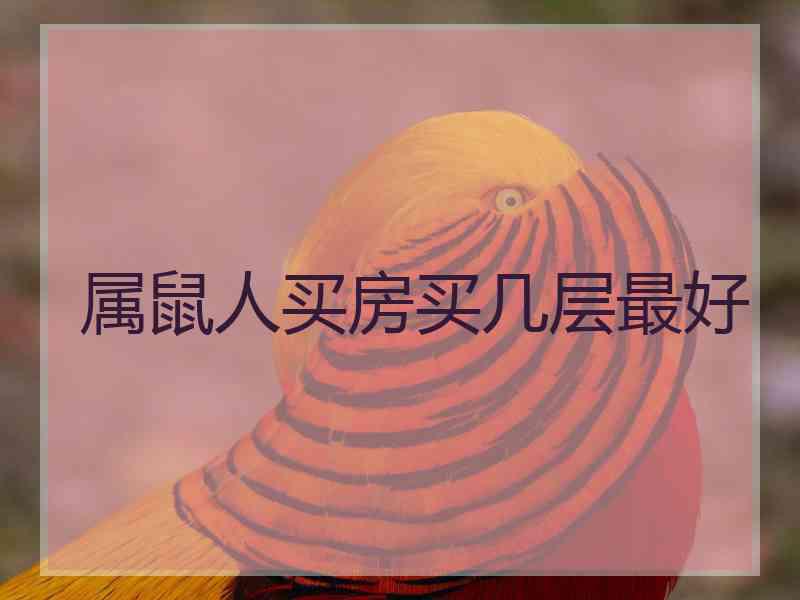 属鼠人买房买几层最好