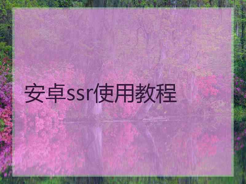 安卓ssr使用教程