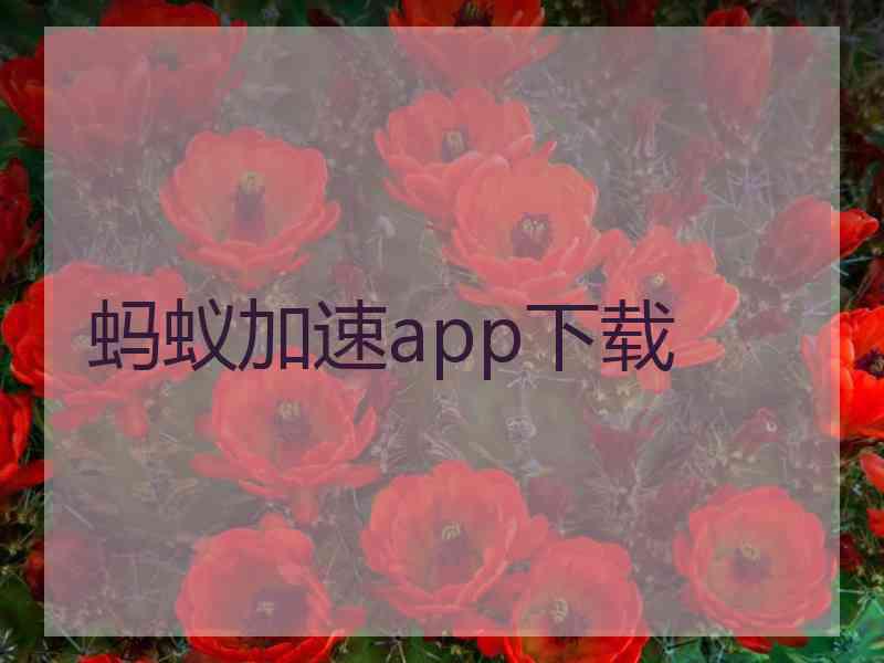 蚂蚁加速app下载