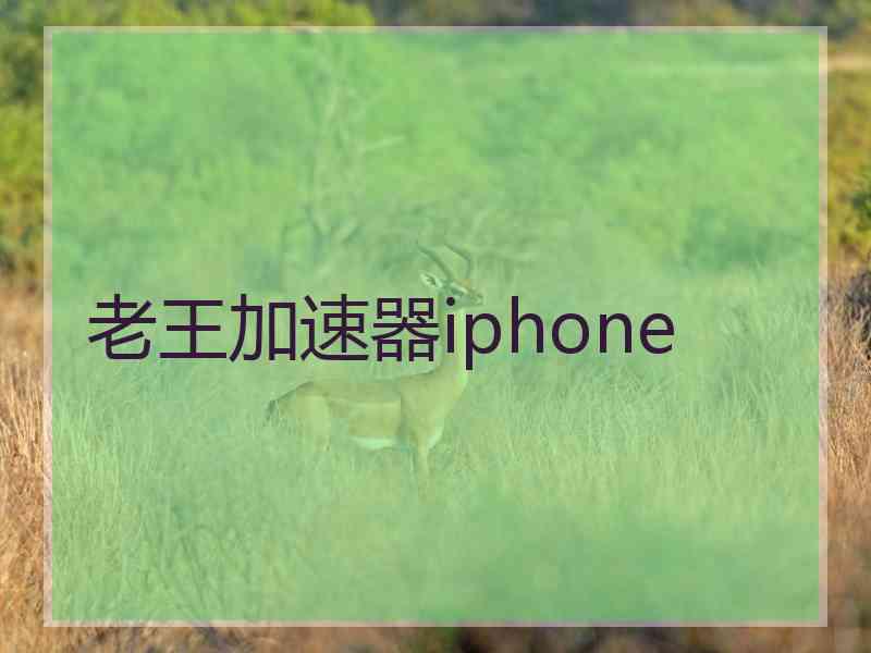 老王加速器iphone