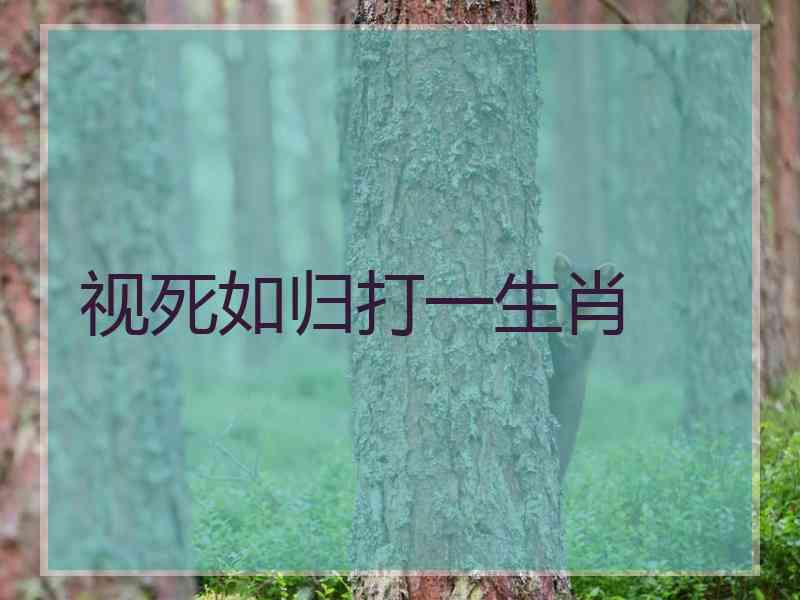 视死如归打一生肖