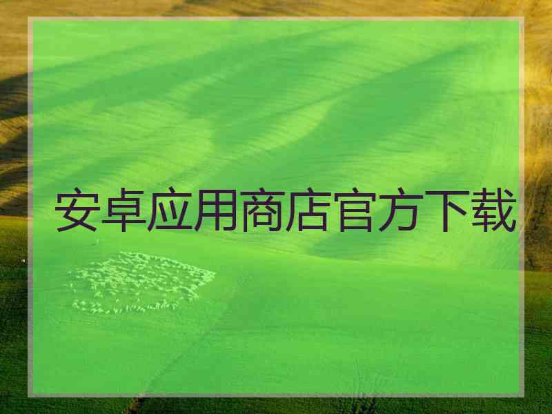 安卓应用商店官方下载