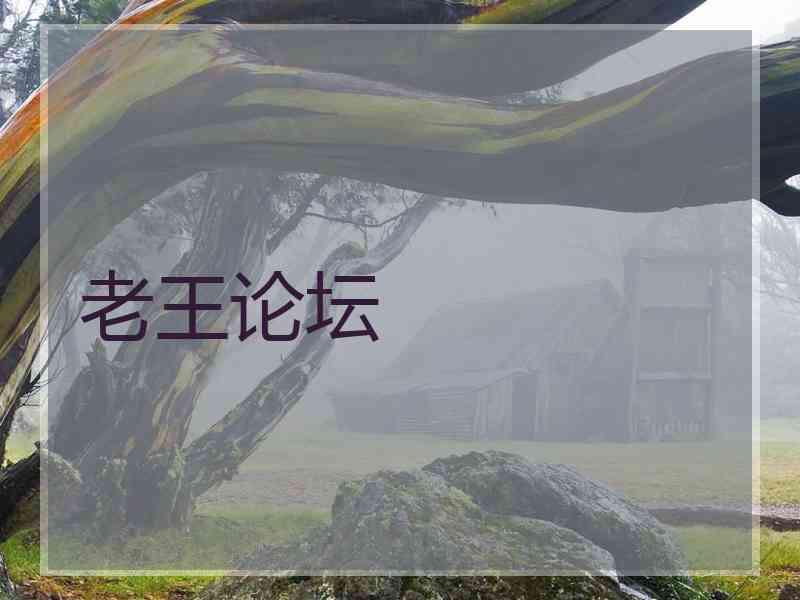 老王论坛