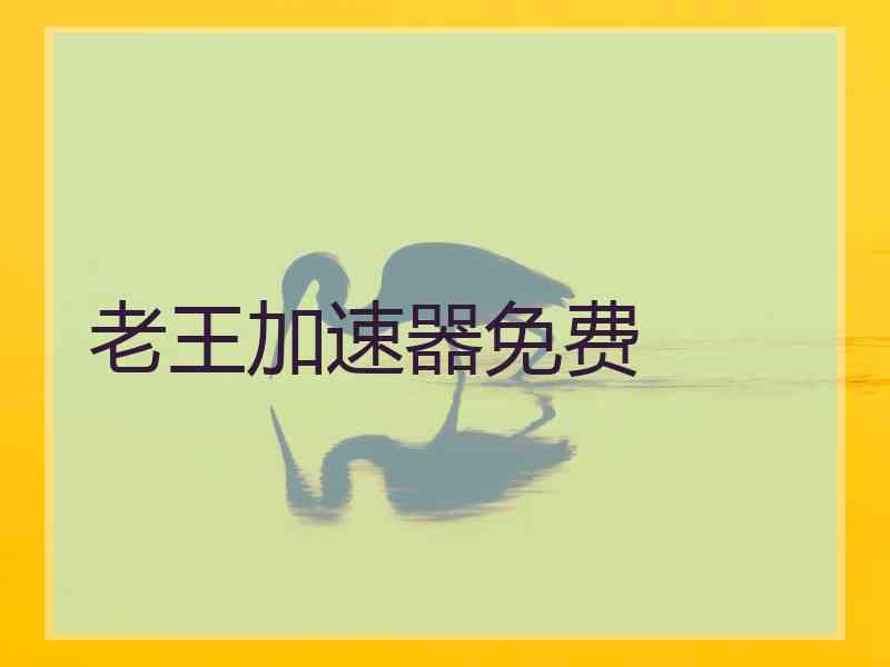 老王加速器免费