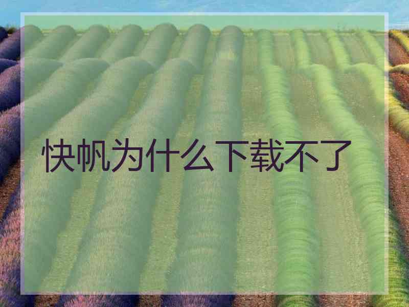 快帆为什么下载不了