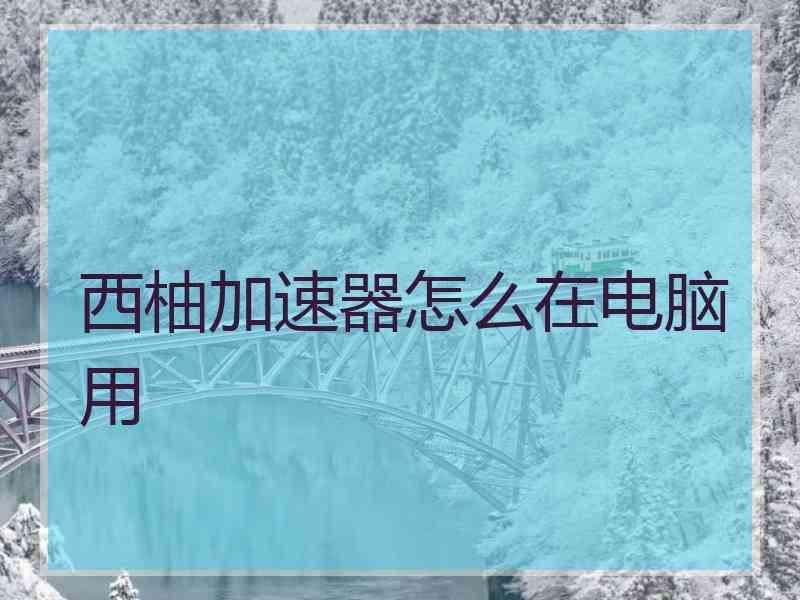 西柚加速器怎么在电脑用