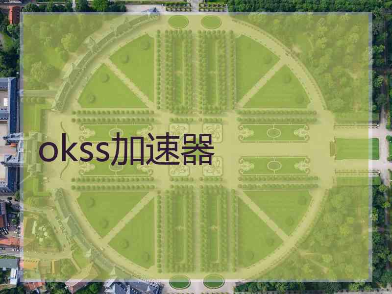 okss加速器