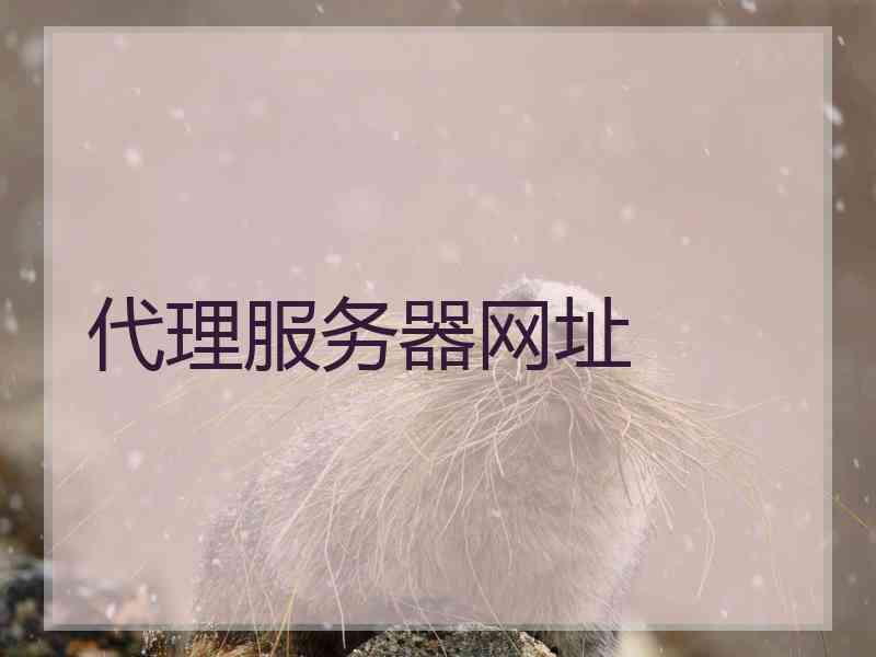 代理服务器网址