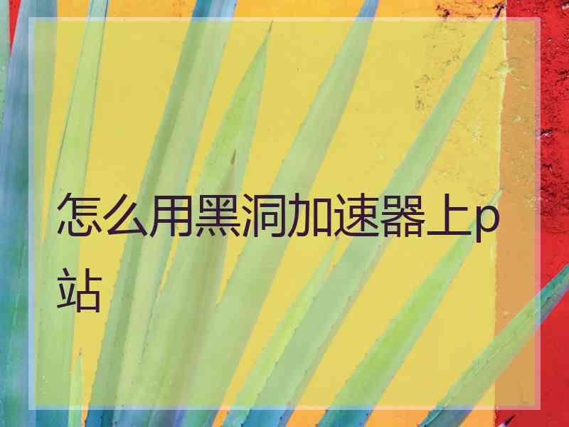 怎么用黑洞加速器上p站