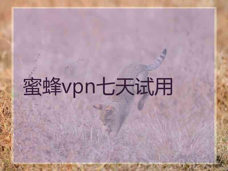 蜜蜂vpn七天试用