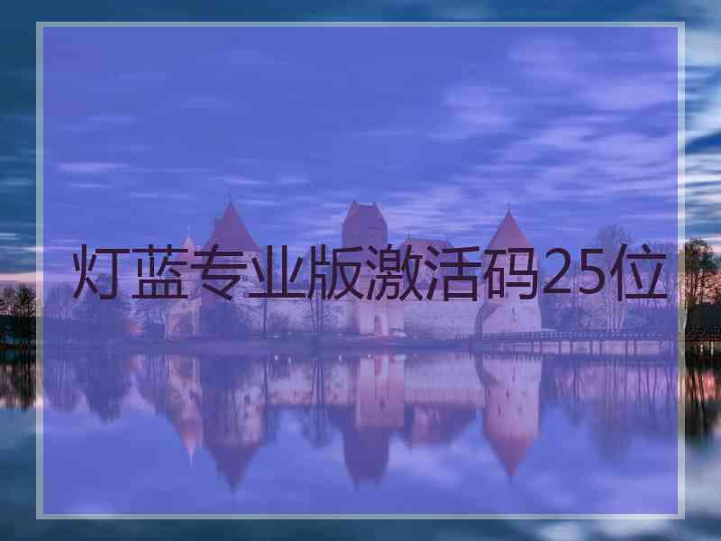 灯蓝专业版激活码25位