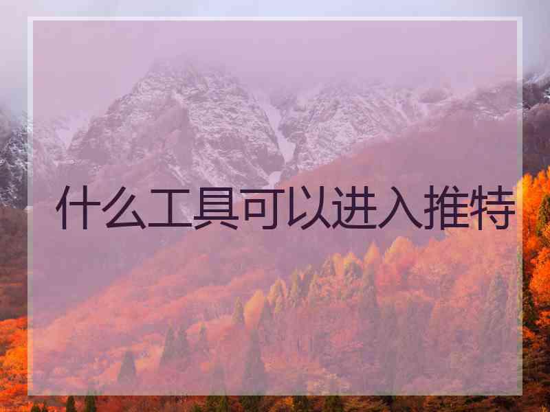 什么工具可以进入推特