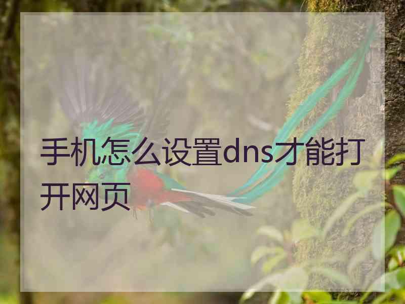 手机怎么设置dns才能打开网页