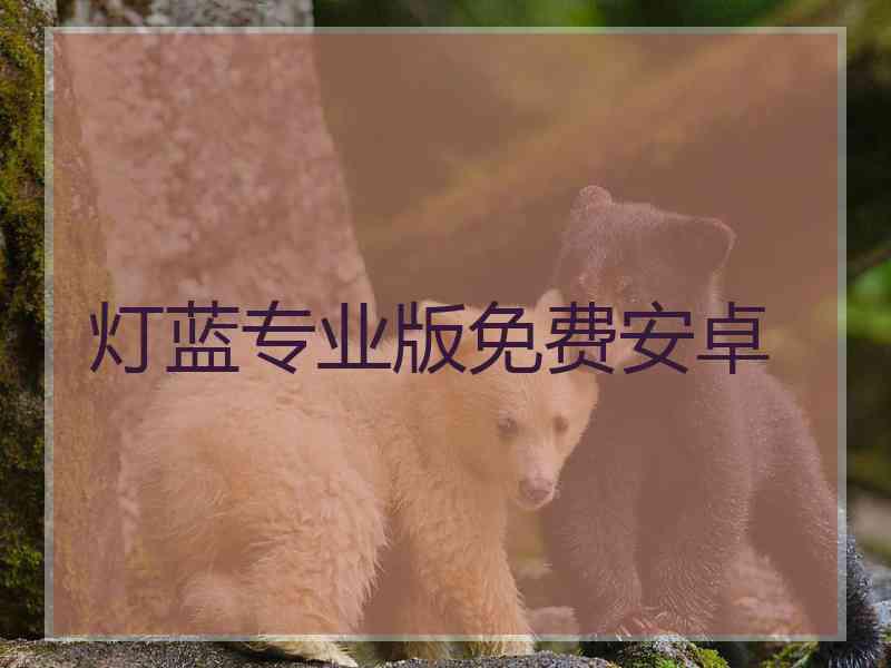 灯蓝专业版免费安卓