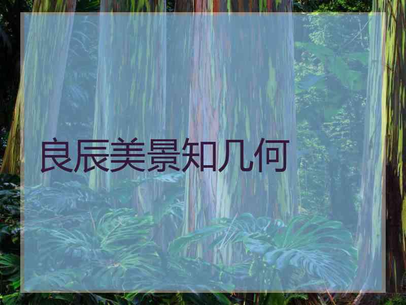 良辰美景知几何