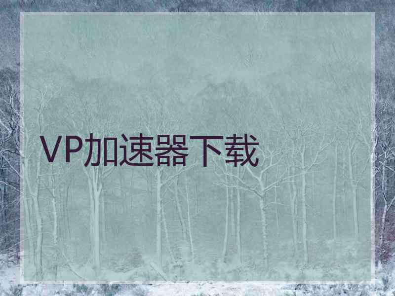 VP加速器下载
