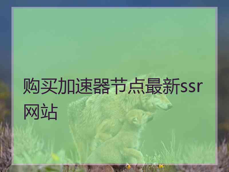 购买加速器节点最新ssr网站