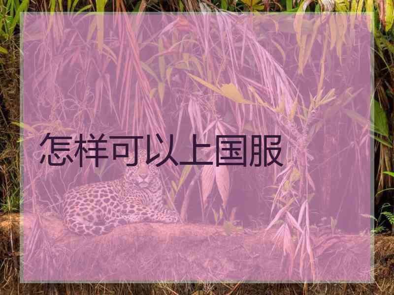 怎样可以上国服