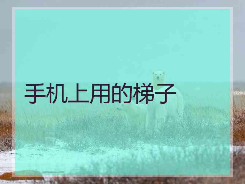 手机上用的梯子