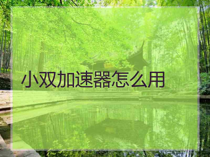 小双加速器怎么用