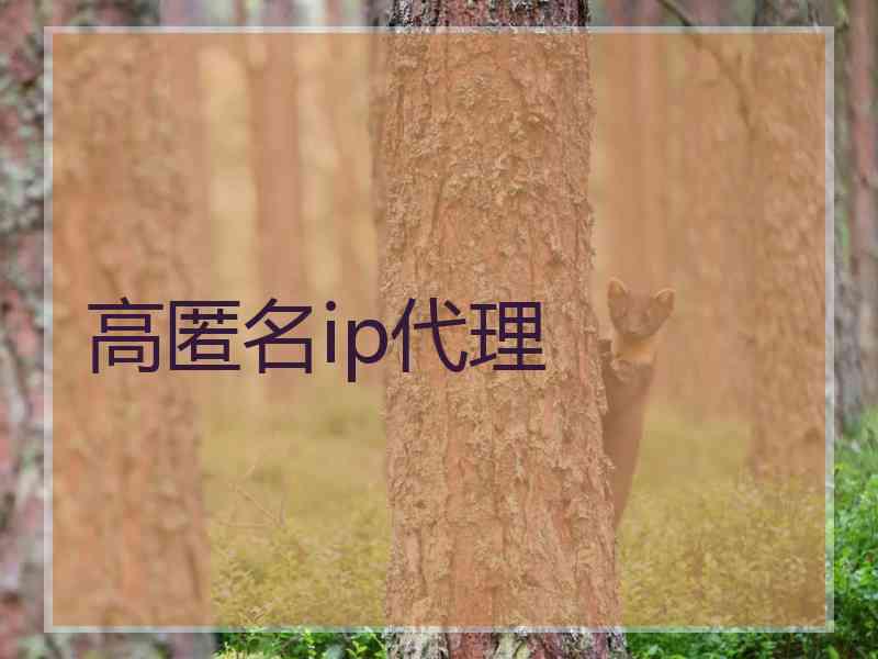 高匿名ip代理