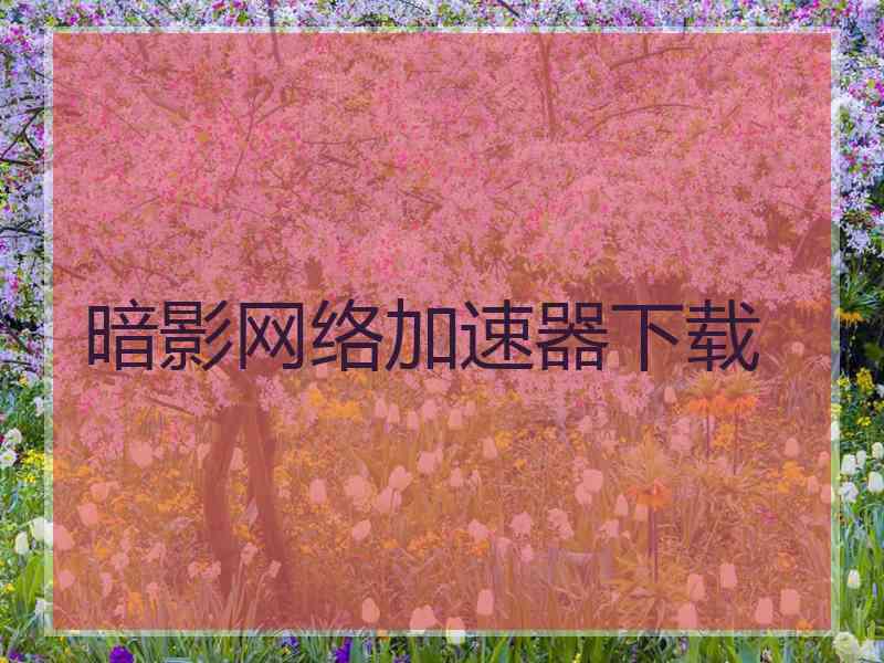 暗影网络加速器下载