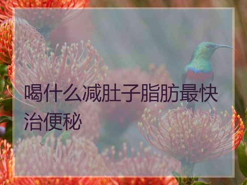 喝什么减肚子脂肪最快治便秘