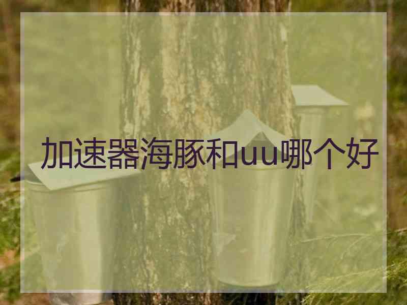 加速器海豚和uu哪个好