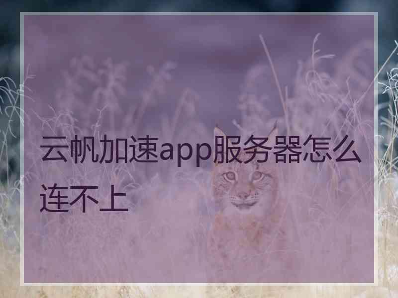 云帆加速app服务器怎么连不上