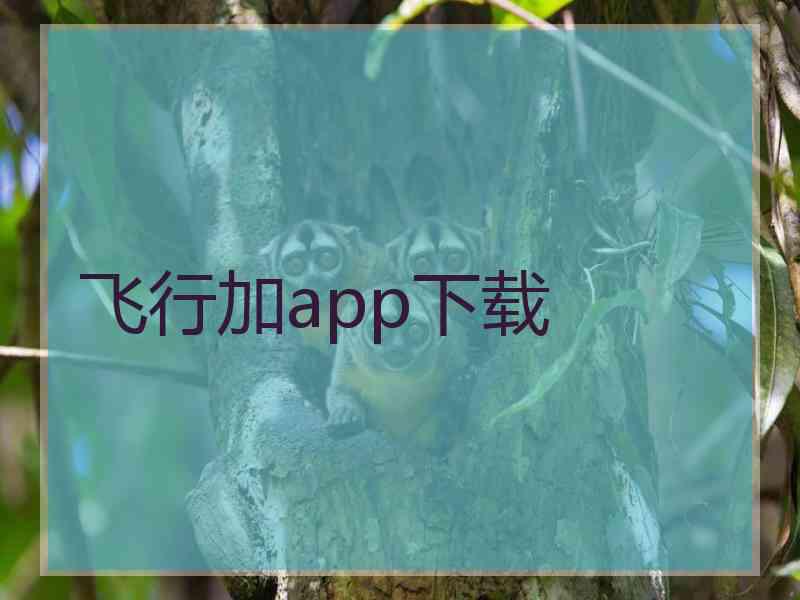 飞行加app下载