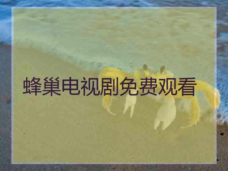 蜂巢电视剧免费观看