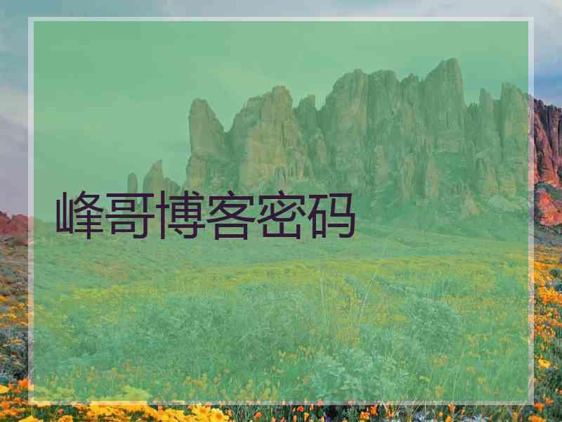 峰哥博客密码