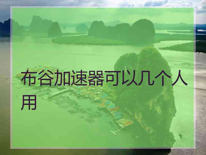 布谷加速器可以几个人用