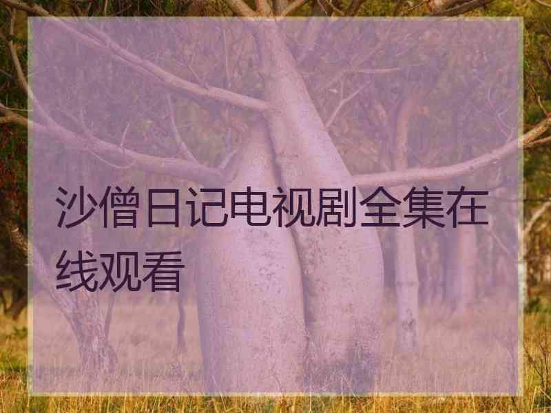 沙僧日记电视剧全集在线观看
