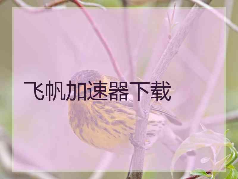 飞帆加速器下载
