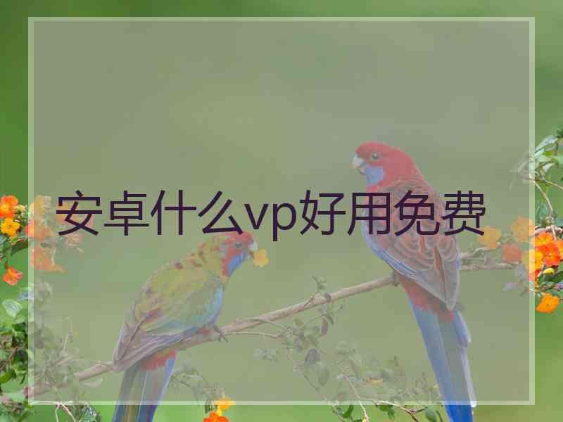 安卓什么vp好用免费